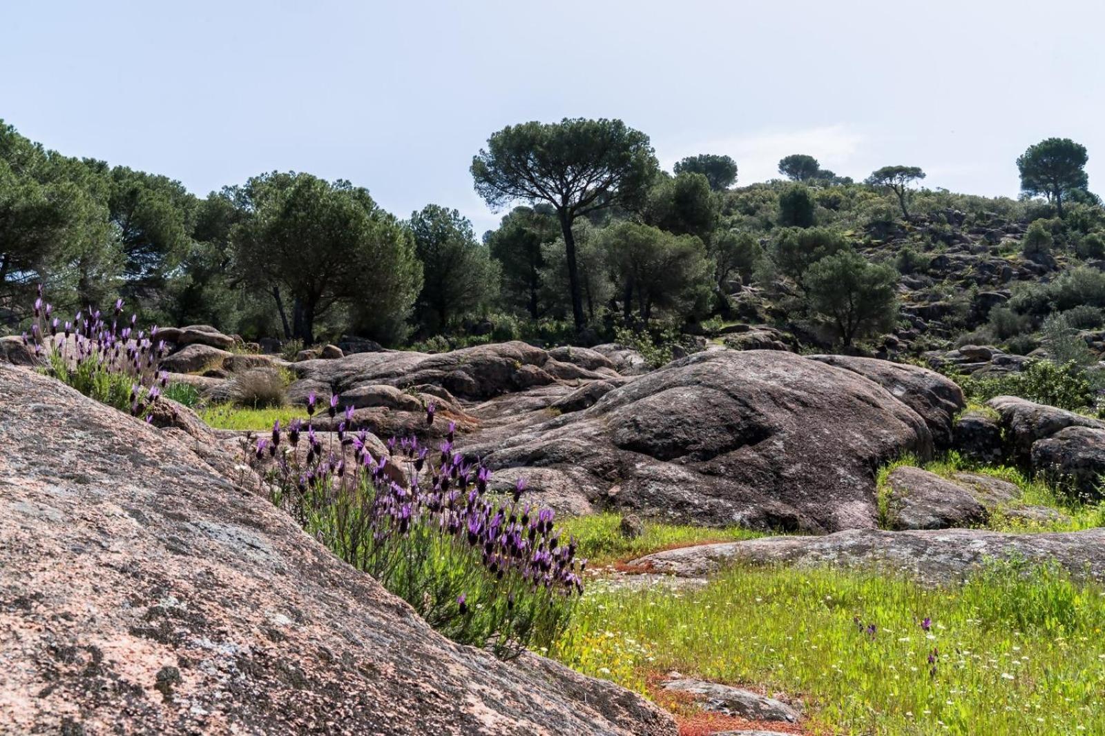 Casa El Paraiso Del Lago Alojamiento Rural Cordoba Dış mekan fotoğraf